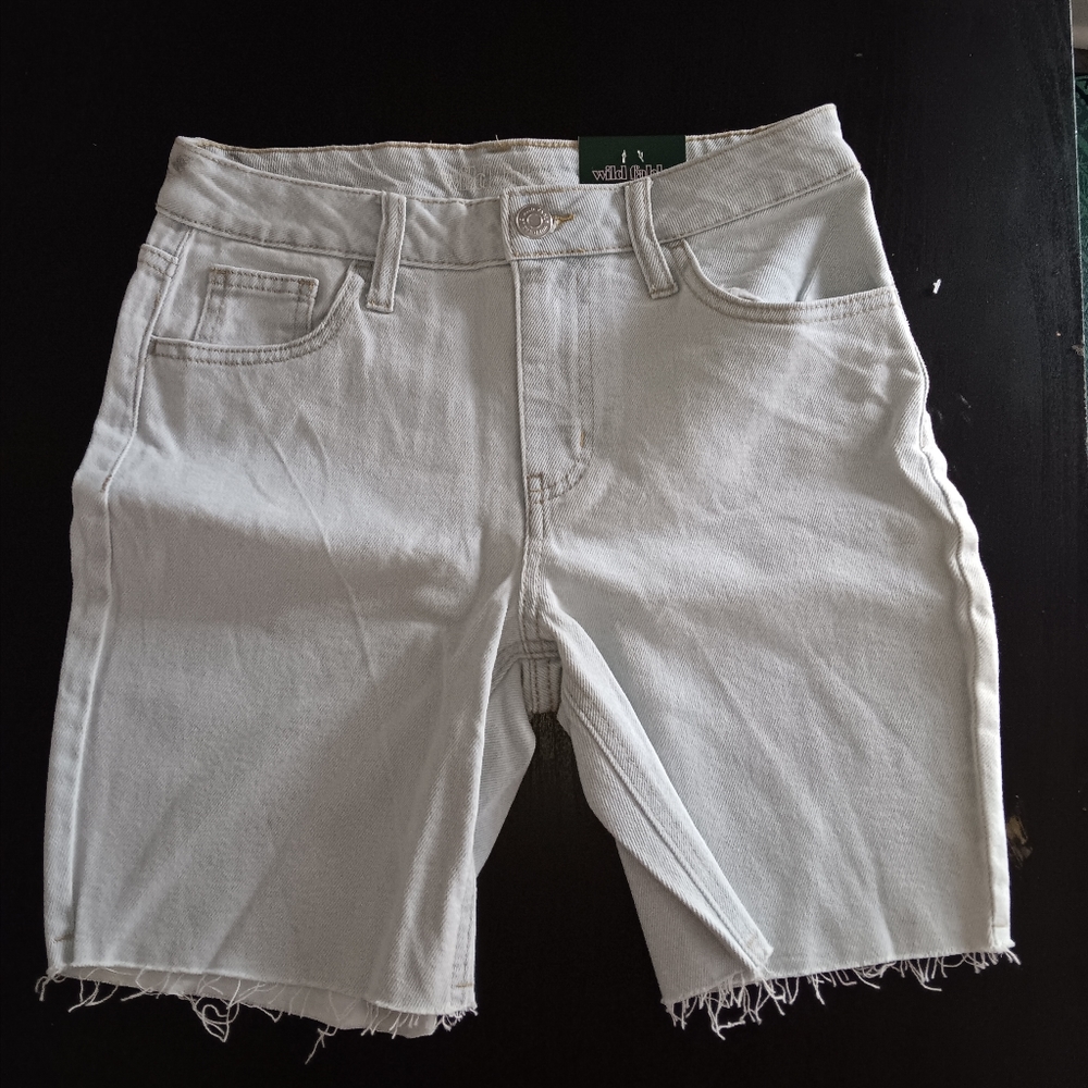 Light Wash High Rise Shorts 2/26 Waist